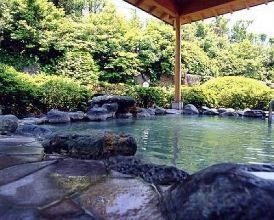 фото отеля Palace Hotel Hakone