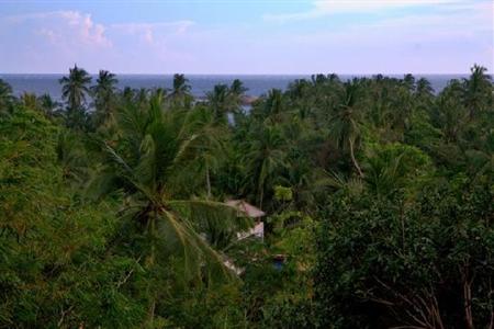 фото отеля Thambapanni Retreat