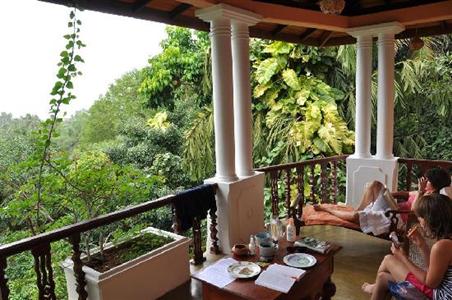 фото отеля Thambapanni Retreat