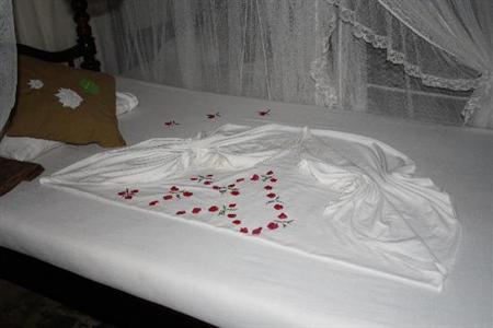 фото отеля Thambapanni Retreat