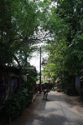фото отеля Thambapanni Retreat