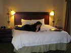 фото отеля Hampton Inn & Suites Hopkinsville