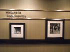 фото отеля Hampton Inn & Suites Hopkinsville