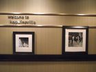 фото отеля Hampton Inn & Suites Hopkinsville