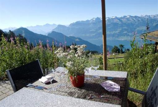 фото отеля Edelweiss Hotel Rigi Kaltbad