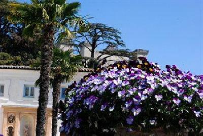 фото отеля Hotel Palazzo Leti