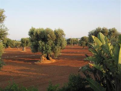 фото отеля Masseria Don Luigi