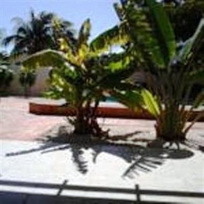 фото отеля White Beach Apartments Tarieven Rooi Santo