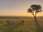 фото отеля Olare Mara Kempinski Masai Mara