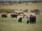 фото отеля Olare Mara Kempinski Masai Mara