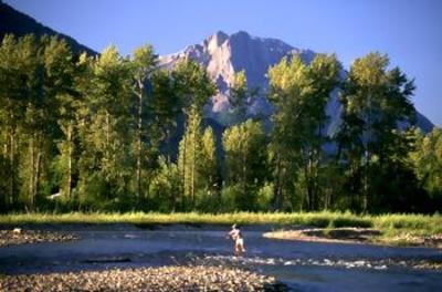 фото отеля Cornerstone Lodge at Fernie Alpine Resort