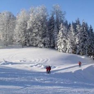 фото отеля Bauernhof Biobauernhof Familie Danner