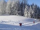 фото отеля Bauernhof Biobauernhof Familie Danner