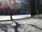 фото отеля Bauernhof Biobauernhof Familie Danner