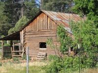 Kamp Kiwis Cabins