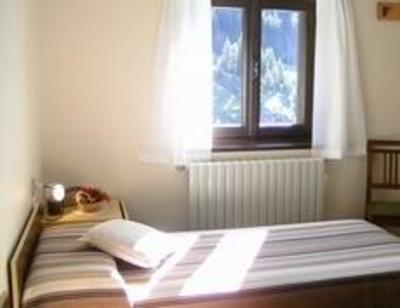 фото отеля Albergo Adler Meuble
