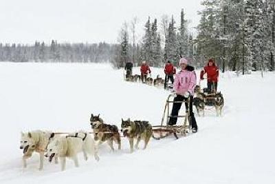 фото отеля Hotel Hullu Poro (Crazy Reindeer)