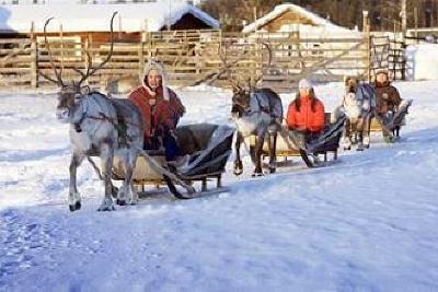 фото отеля Hotel Hullu Poro (Crazy Reindeer)