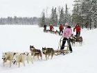 фото отеля Hotel Hullu Poro (Crazy Reindeer)