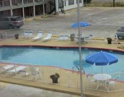 фото отеля Knights Inn Mineral Wells (Texas)