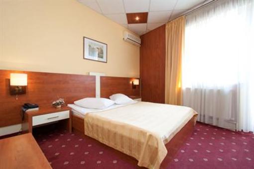 фото отеля Hotel Castel Ramnicu Valcea