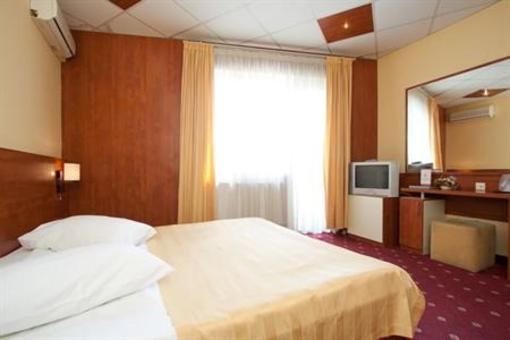 фото отеля Hotel Castel Ramnicu Valcea