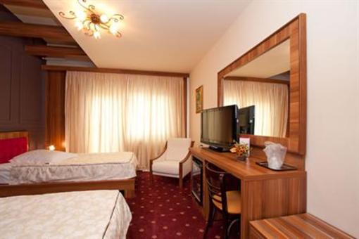 фото отеля Hotel Castel Ramnicu Valcea