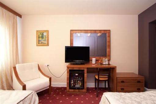 фото отеля Hotel Castel Ramnicu Valcea