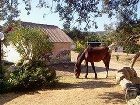 фото отеля Borgo di Campagna