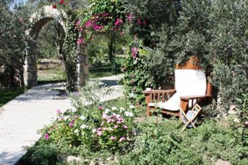 фото отеля Olive Farm Of Datca Guesthouse
