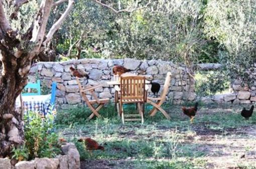 фото отеля Olive Farm Of Datca Guesthouse