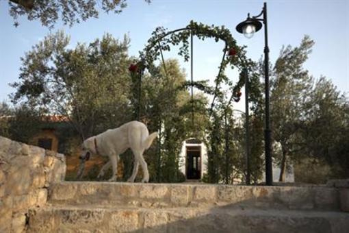 фото отеля Olive Farm Of Datca Guesthouse