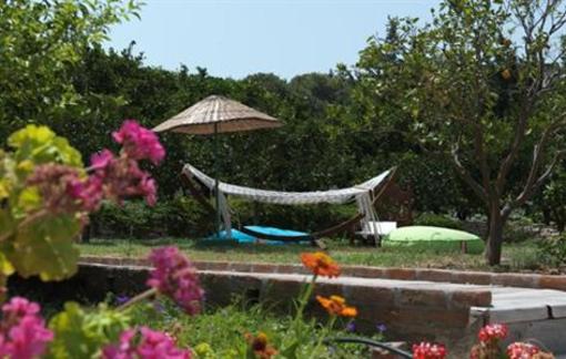 фото отеля Olive Farm Of Datca Guesthouse