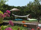 фото отеля Olive Farm Of Datca Guesthouse