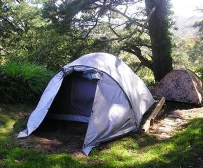 фото отеля The Flying Fox Backpackers