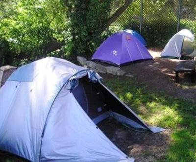 фото отеля The Flying Fox Backpackers