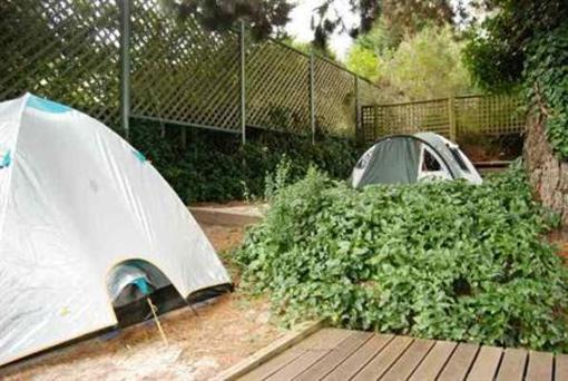 фото отеля The Flying Fox Backpackers