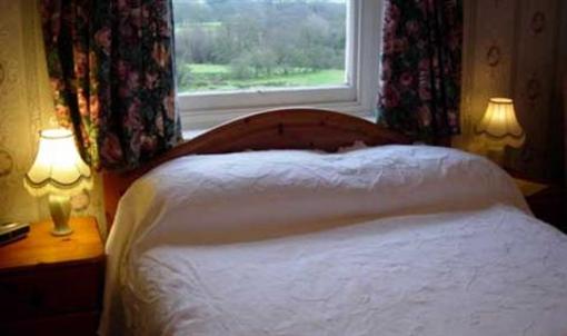 фото отеля Lasswade Country House Llanwrtyd Wells