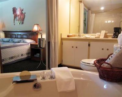 фото отеля The Lodge Eureka Springs