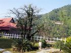 фото отеля Neelesh Inn Bhimtal