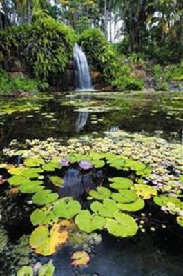 фото отеля Sheraton Mirage Hotel Port Douglas
