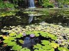 фото отеля Sheraton Mirage Hotel Port Douglas