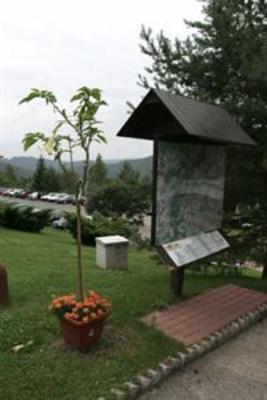фото отеля Hotel Solenice