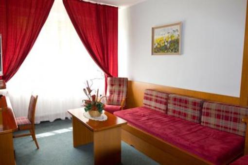 фото отеля Hotel Solenice