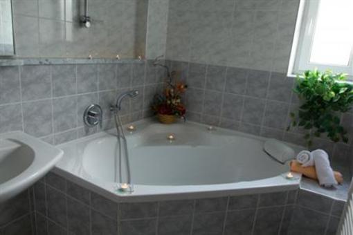 фото отеля Hotel Solenice