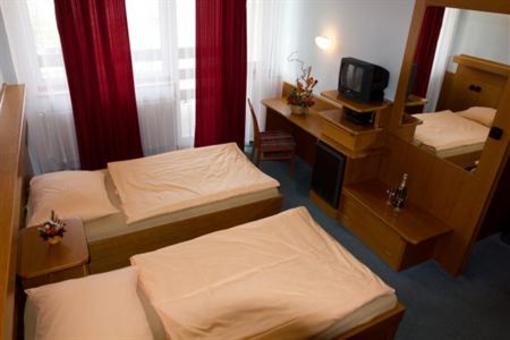фото отеля Hotel Solenice