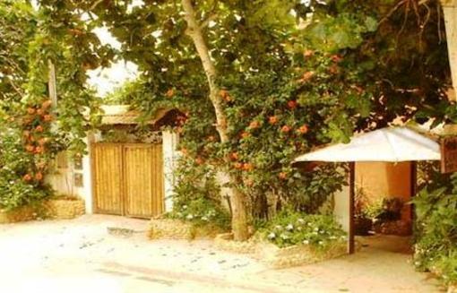фото отеля Catavento Guest House