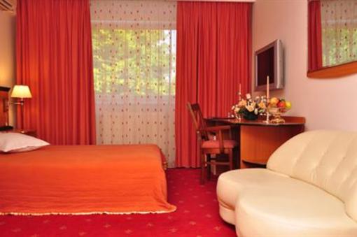 фото отеля Royal Plaza Hotel Timisoara