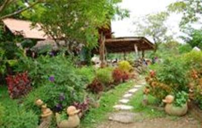 фото отеля Tarzan Resort