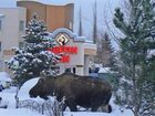 фото отеля Puffin Inn
